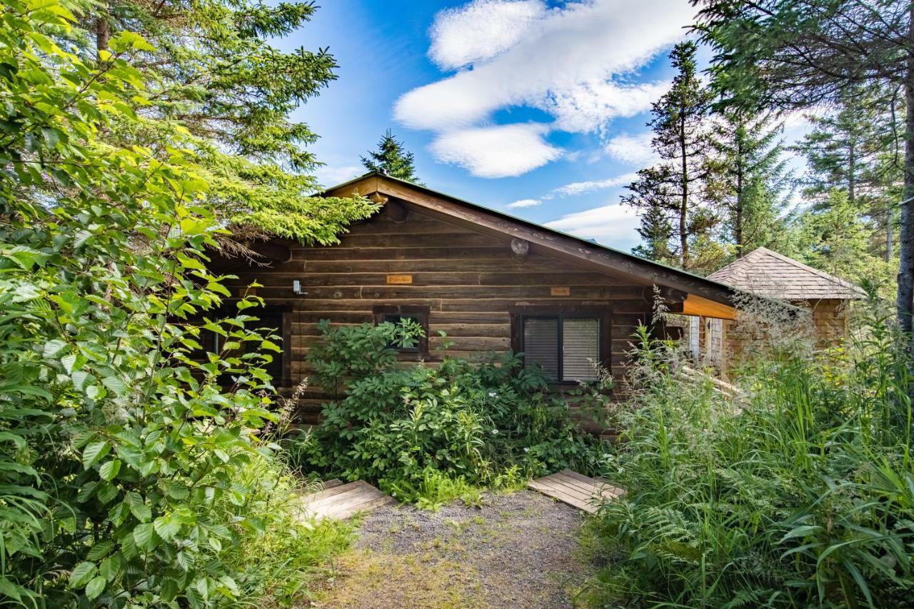 Stillpoint Lodge - All-Inclusive Halibut Cove Екстериор снимка
