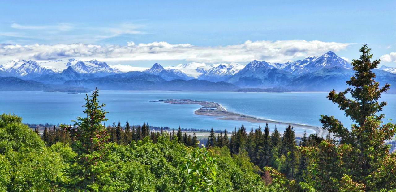 Stillpoint Lodge - All-Inclusive Halibut Cove Екстериор снимка